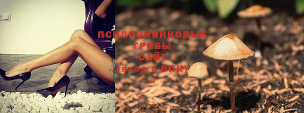 MDMA Богданович