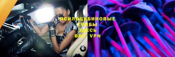 хмурый Богородск