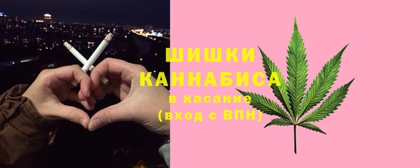 хмурый Богородск