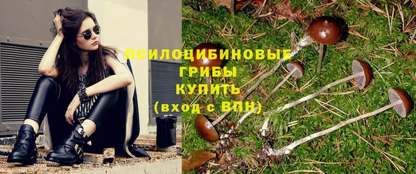 MDMA Богданович